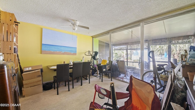 office with carpet flooring, a ceiling fan, and a textured ceiling