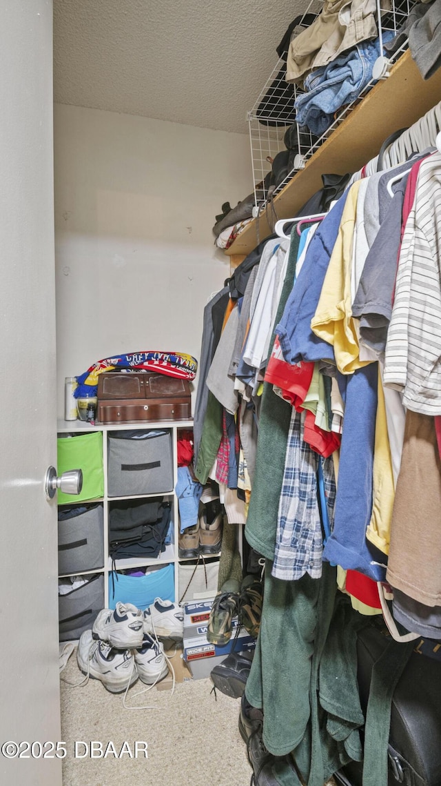 view of walk in closet