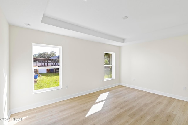 spare room featuring plenty of natural light, light wood finished floors, and a tray ceiling