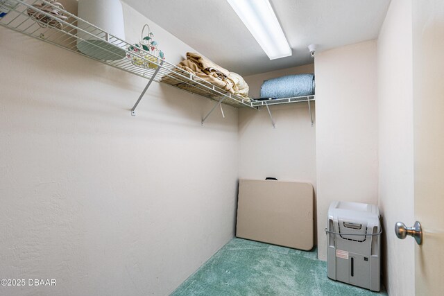 2545 S Atlantic Ave Unit 0102, Daytona Beach Shores, FL 32118 - walk in closet with carpet floors
