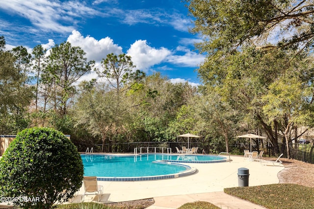 view of pool with a patio area