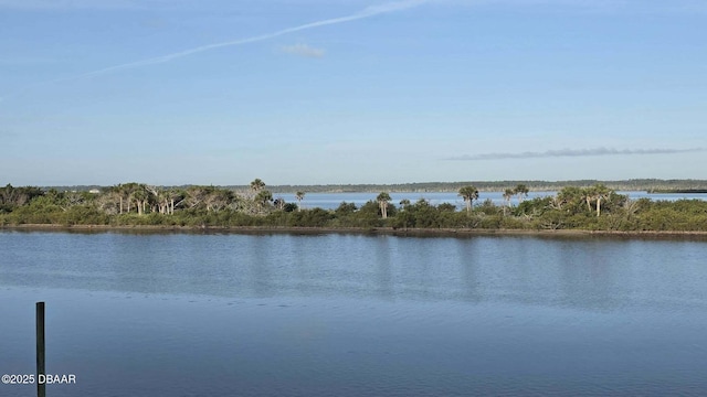 3128 John Anderson Dr, Ormond Beach, FL 32176 - water view