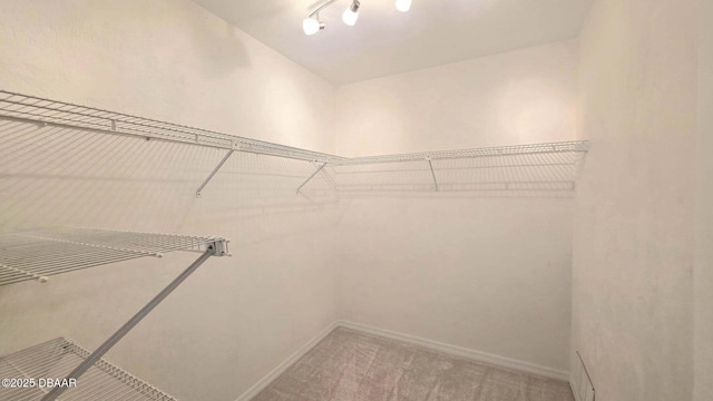 3128 John Anderson Dr, Ormond Beach, FL 32176 - walk in closet featuring light colored carpet