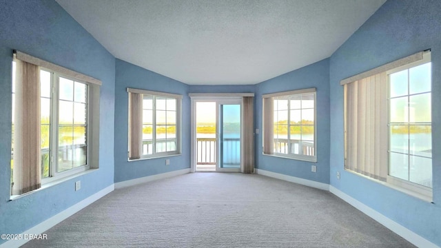 3128 John Anderson Dr, Ormond Beach, FL 32176 - unfurnished sunroom with vaulted ceiling, healthy amount of natural light, carpet floors, and a textured ceiling