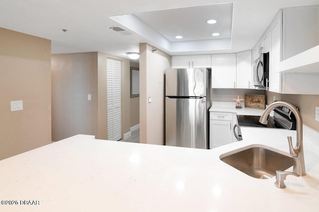 kitchen featuring white cabinetry, sink, a tray ceiling, and stainless steel appliances