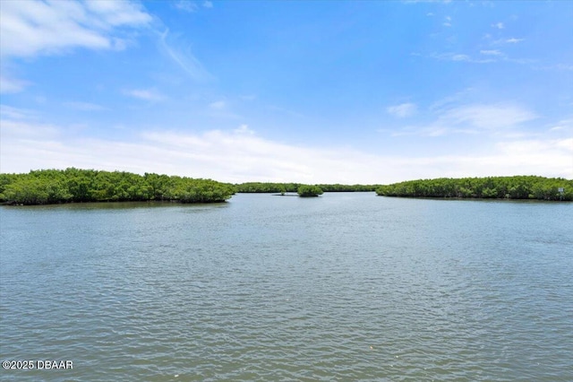 5967 Riverside Dr, Port Orange, FL 32127 - water view