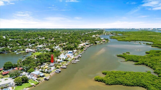 5967 Riverside Dr, Port Orange, FL 32127 - bird's eye view of a nearby body of water