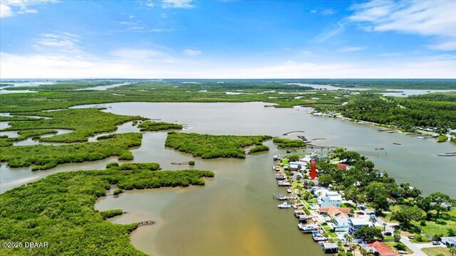 5967 Riverside Dr, Port Orange, FL 32127 - bird's eye view of a nearby body of water