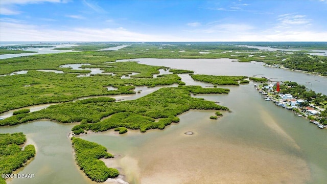 5967 Riverside Dr, Port Orange, FL 32127 - bird's eye view of a large body of water