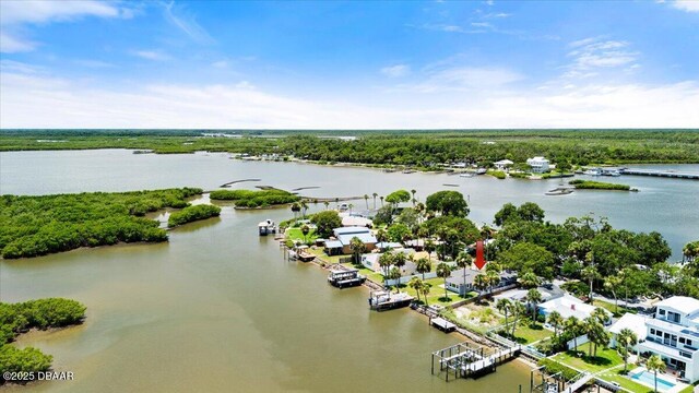 5967 Riverside Dr, Port Orange, FL 32127 - aerial view of a large body of water