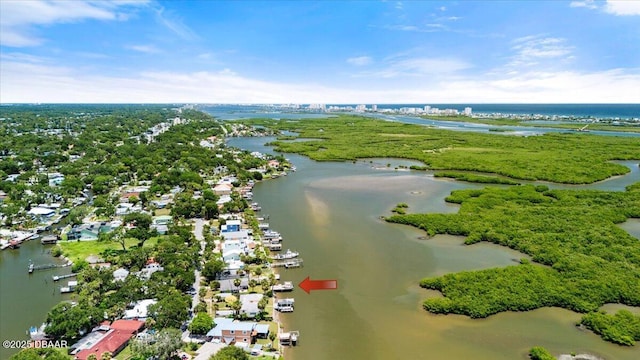 5967 Riverside Dr, Port Orange, FL 32127 - drone / aerial view of a large body of water
