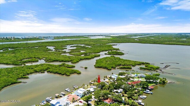 5967 Riverside Dr, Port Orange, FL 32127 - bird's eye view of a large body of water