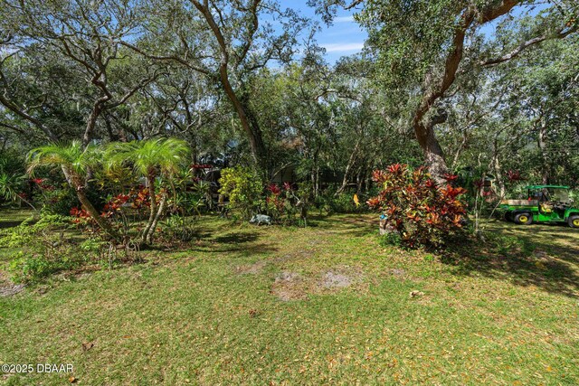 0 Bayview Ave, New Smyrna Beach, FL 32168 - photo 59