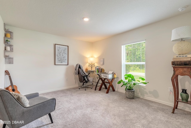 49 Llama Trl, Palm Coast, FL 32164 - photo 20