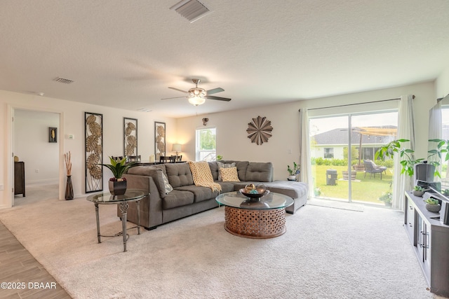 49 Llama Trl, Palm Coast, FL 32164 - photo 24