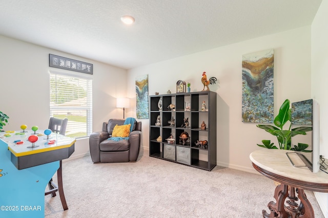 49 Llama Trl, Palm Coast, FL 32164 - photo 18