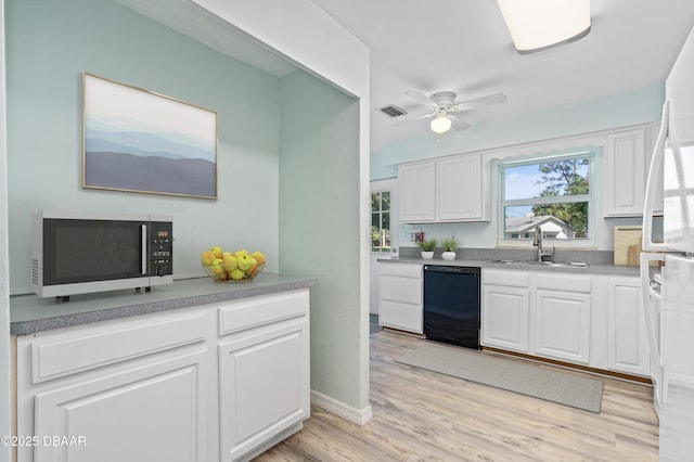 kitchen featuring sink, ceiling fan, black dishwasher, light hardwood / wood-style floors, and white cabinets