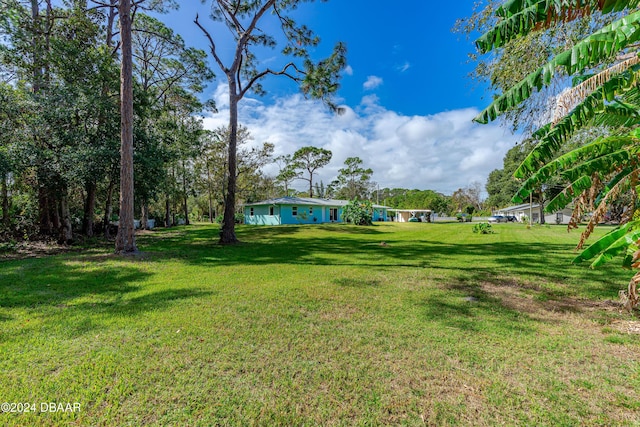 605 Orchard Ave, Ormond Beach, FL 32174 - view of grassy yard