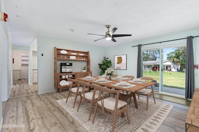 dining room featuring ceiling fan and light wood-type flooring