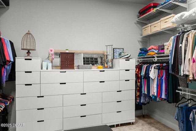 walk in closet featuring light carpet