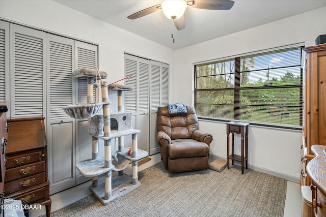 living area with ceiling fan