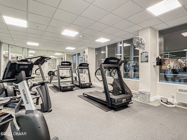 workout area with a drop ceiling and carpet flooring