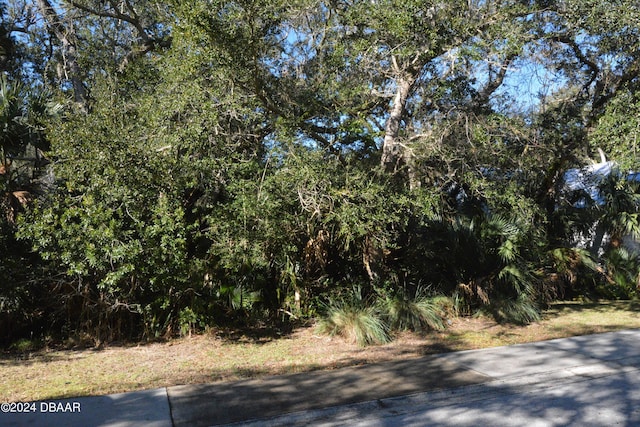 11 Shady Oak Ln, Palm Coast, FL 32137 - photo 4