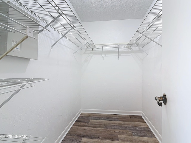 walk in closet featuring dark wood-type flooring