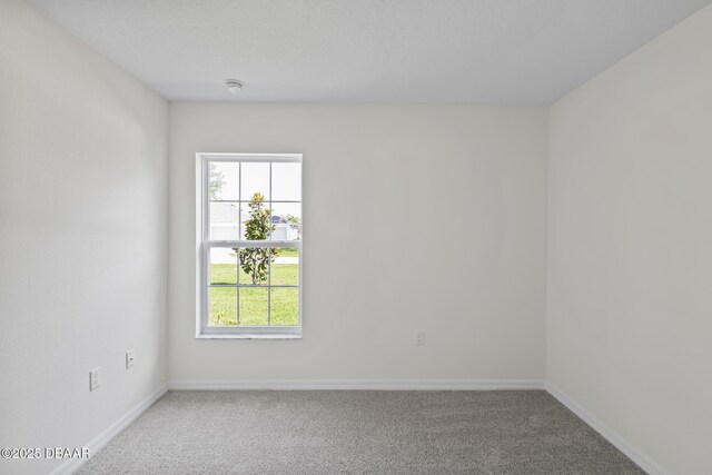 30 Palm Ln, Palm Coast, FL 32164 - photo 45