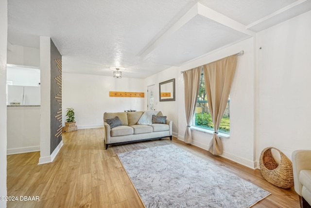 living room featuring light hardwood / wood-style floors and a textured ceiling