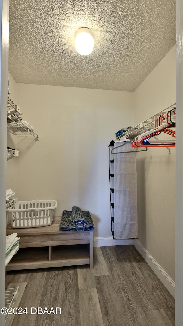 spacious closet featuring hardwood / wood-style flooring