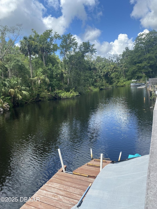 6 Waterberry Cir, Ormond Beach, FL 32174 - dock area with a water view
