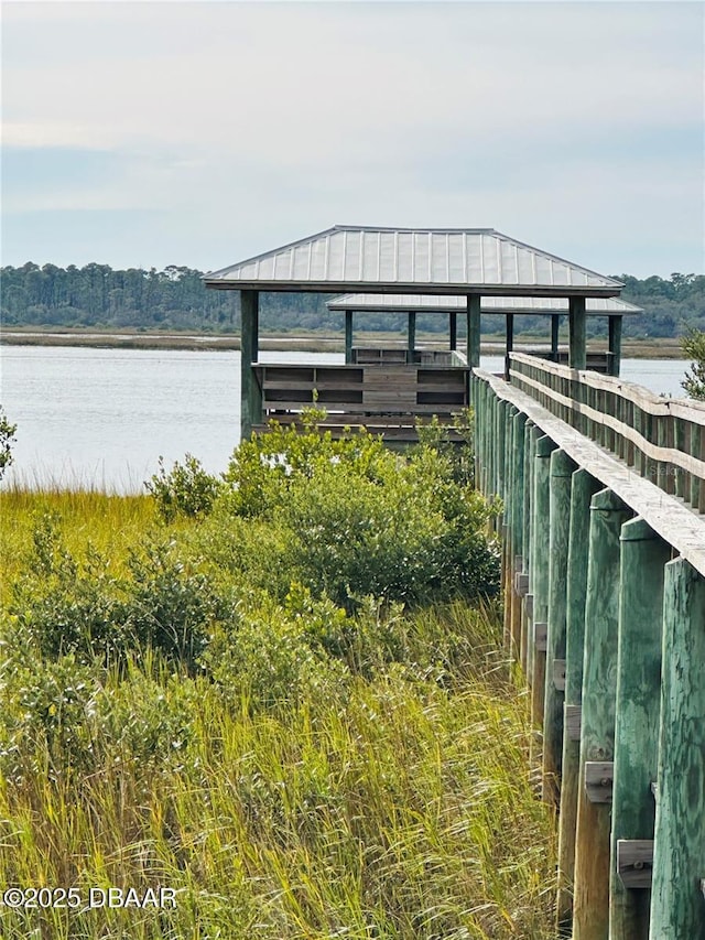 dock area with a water view