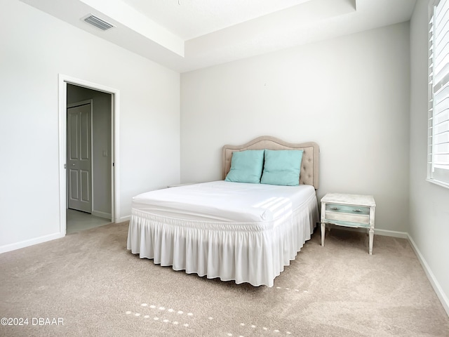 carpeted bedroom with a raised ceiling