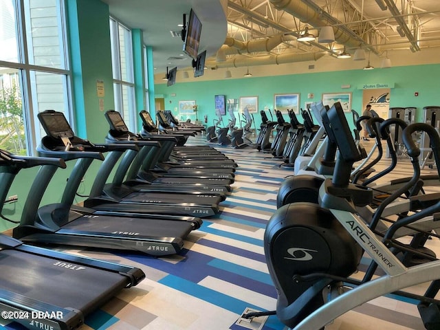 exercise room with plenty of natural light