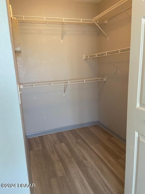 940 Village Trl Unit 6-305, Port Orange, FL 32127 - walk in closet with wood finished floors