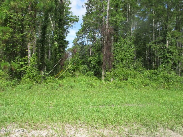 1680 Roosevelt Blvd, Daytona Beach, FL 32124 - photo 2