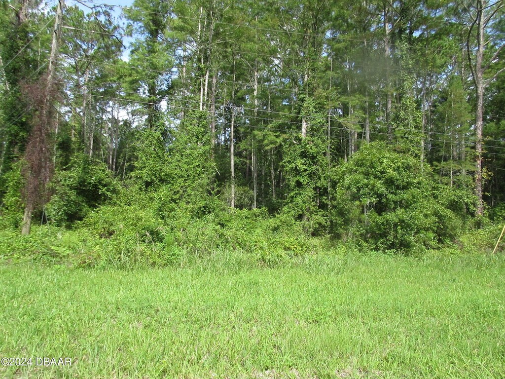 1680 Roosevelt Blvd, Daytona Beach, FL 32124 - photo 1
