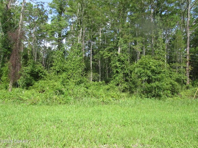 1680 Roosevelt Blvd, Daytona Beach, FL 32124 - photo 1