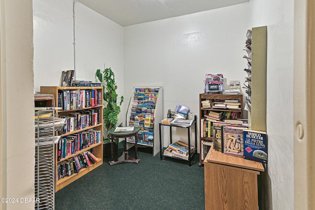 misc room featuring carpet flooring