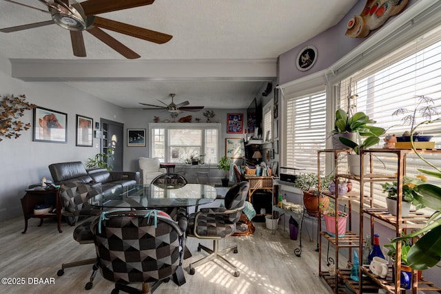 interior space with hardwood / wood-style flooring, a healthy amount of sunlight, and a textured ceiling