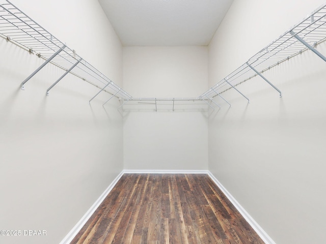 walk in closet with dark hardwood / wood-style flooring