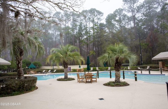 2809 Oakgrove Ave, Saint Augustine, FL 32092 - community pool with a patio area