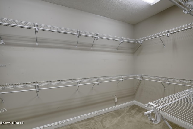 2809 Oakgrove Ave, Saint Augustine, FL 32092 - walk in closet with light carpet