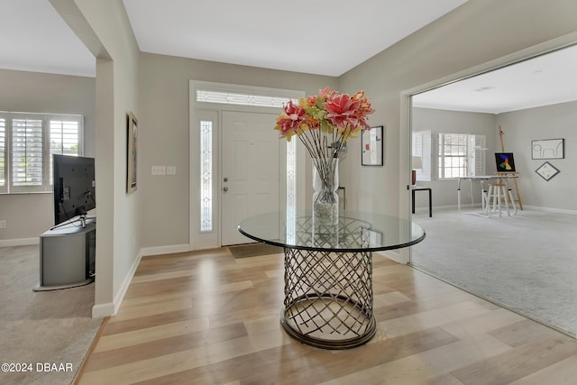 carpeted foyer featuring a healthy amount of sunlight