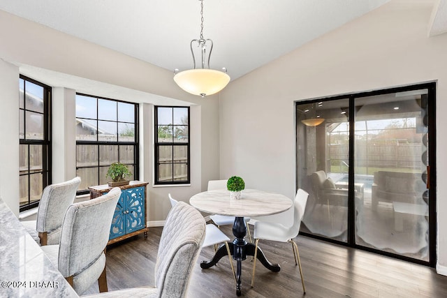 dining area featuring dark wood-type flooring