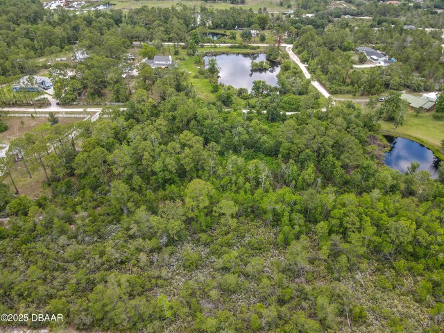 2754 Tiffany Dr, New Smyrna Beach, FL 32168 - photo 7