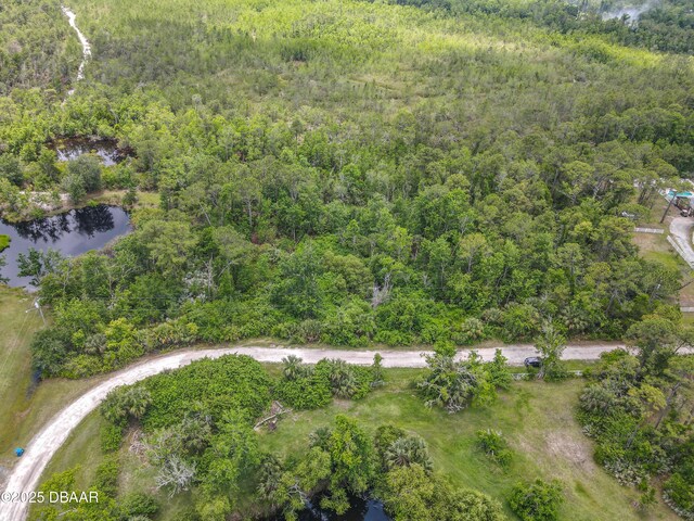 2754 Tiffany Dr, New Smyrna Beach, FL 32168 - photo 8