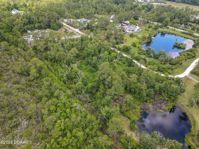 2754 Tiffany Dr, New Smyrna Beach, FL 32168 - photo 6