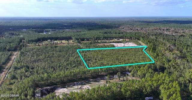 3 Chesser Hammock Rd, Pierson, FL 32180